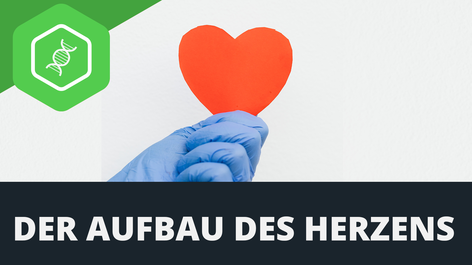 Herz einfach erklärt - simpleclub