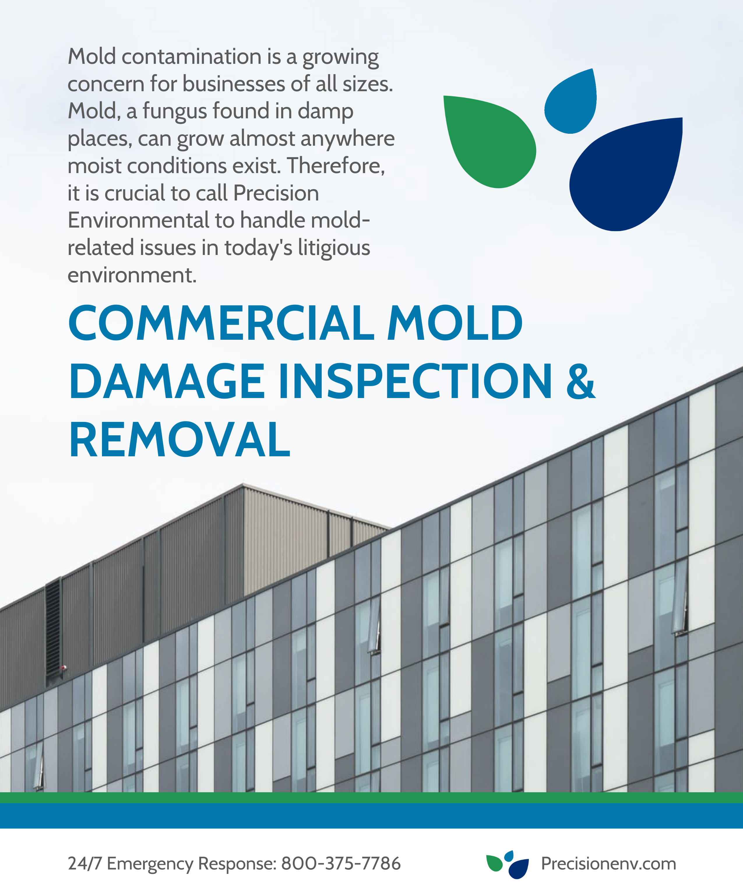 Precision Environmental - COMMERCIAL MOLD DAMAGE INSPECTION & REMOVAL