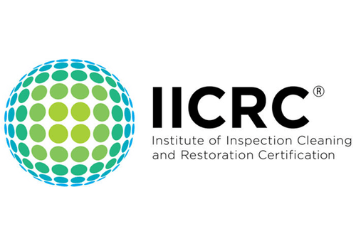 Got Mold 邃 Indigenous Training Program