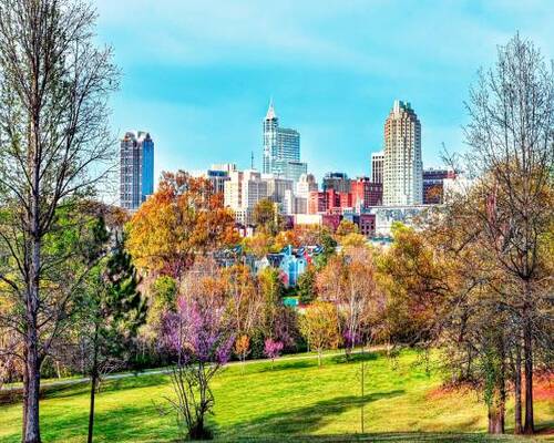 Acaulescent Raleigh Raleigh Pest Control - #1 in Pest Solutions ($57 Plans)