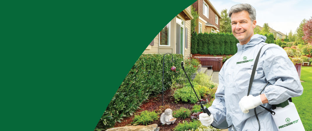 Health and Safety Excellence in Pest Control: Our Innovative Approach