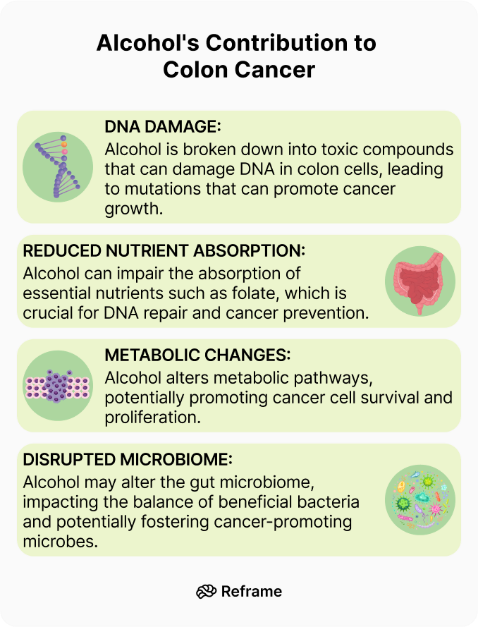 Does Alcohol Cause Colon Cancer? Reframe App