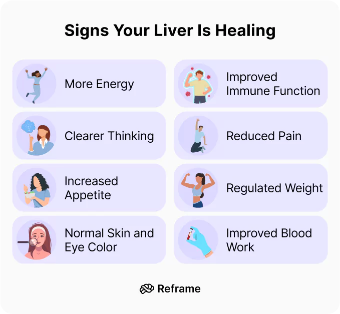 Can Your Liver Heal Itself? Signs and Symptoms of Recovery