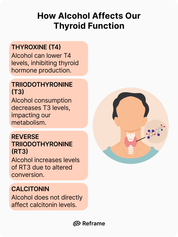 Diagram about how alcohol affects our thyroid function