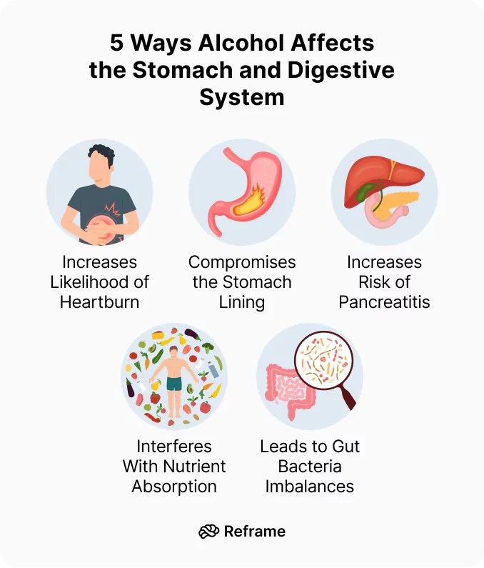 Alcohol's Effects on the Stomach and Digestion
