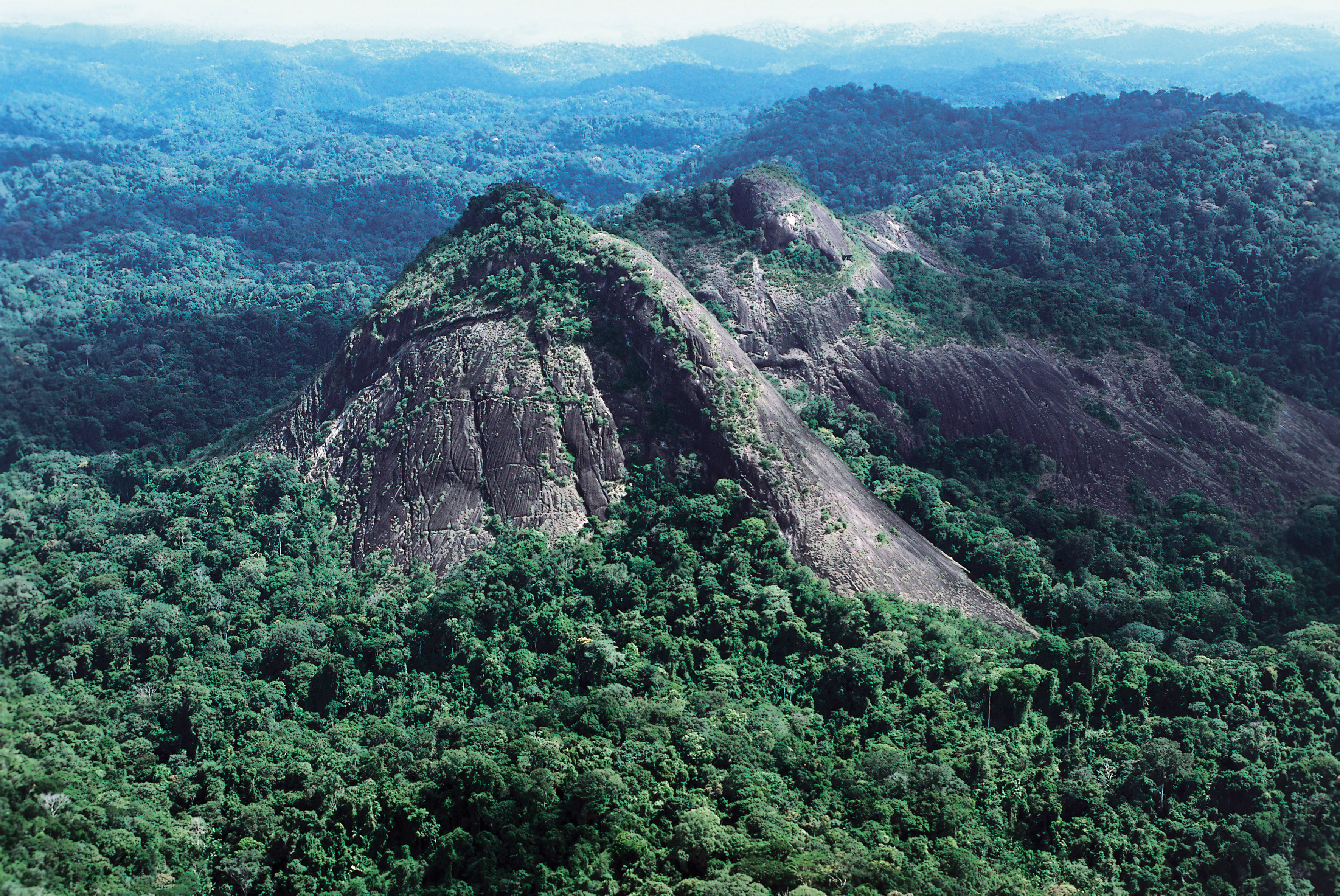 Tumucumaque Mountains National Park