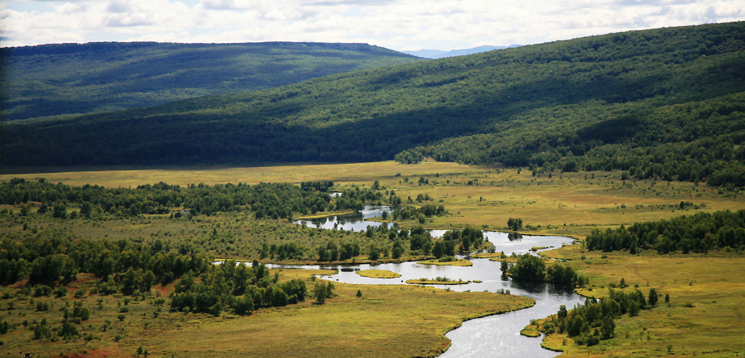 Kol River Salmon Refuge
