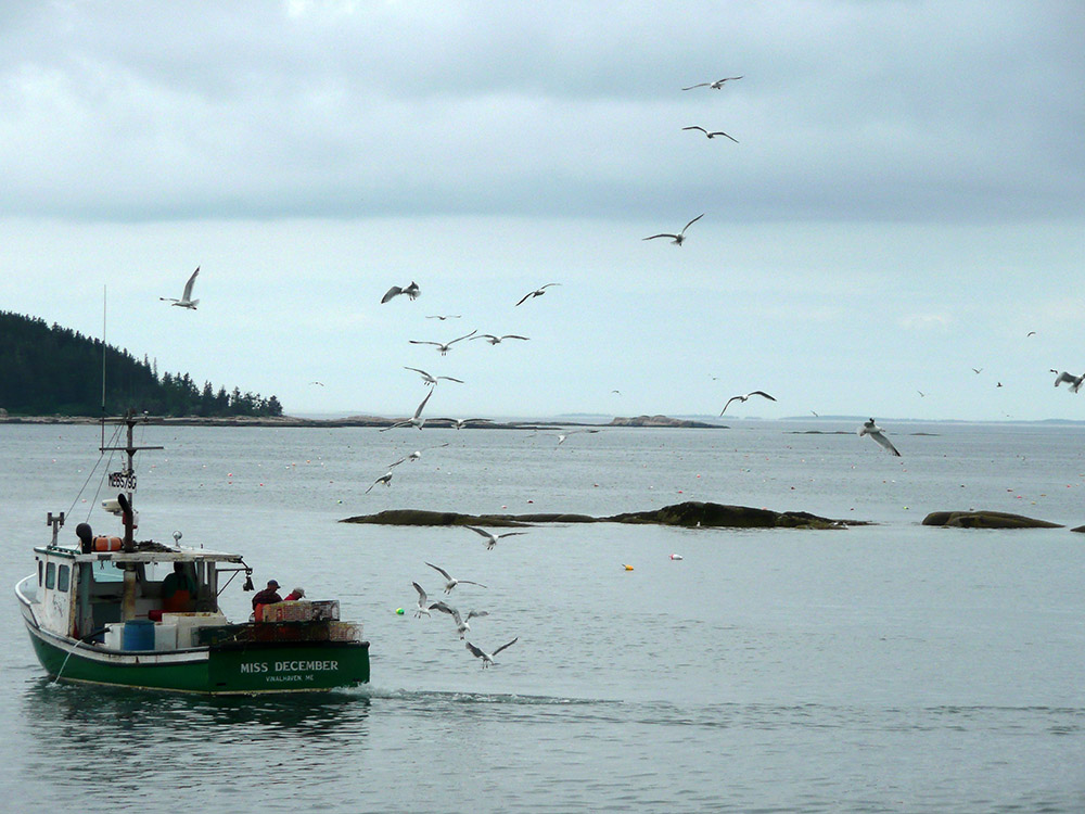 Launch of Marine Conservation Initiative
