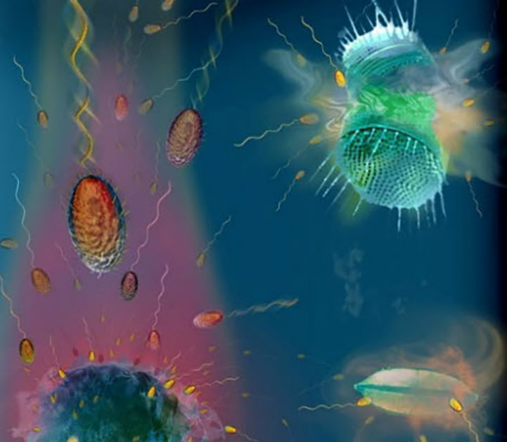 Creation of Marine Microbiology Initiatve