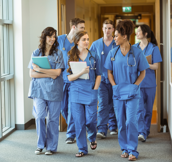 Integrated Nurse Leadership Program
