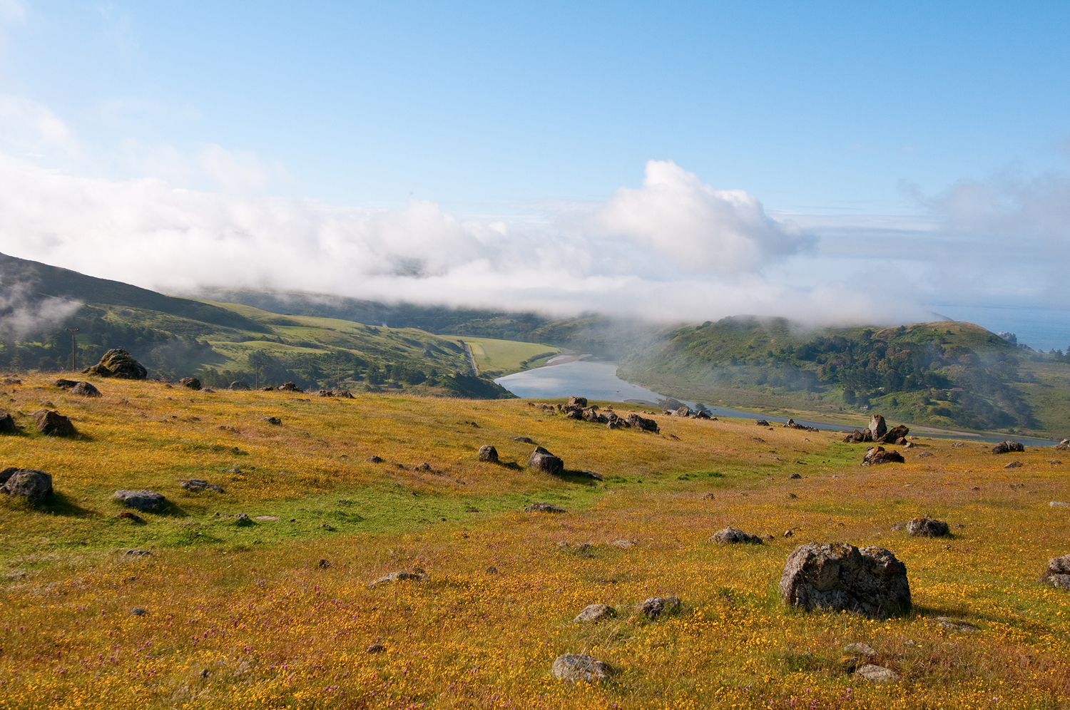 Jenner Headlands