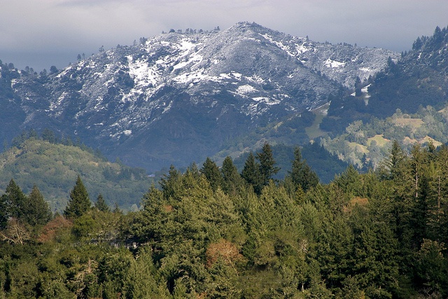 Wildlake Ranch