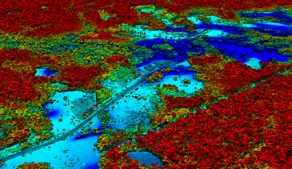 Forest mapping tools