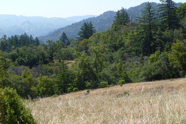 Preservation Ranch