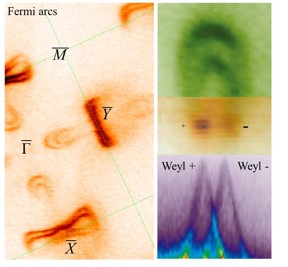 Discovery of the Weyl fermion