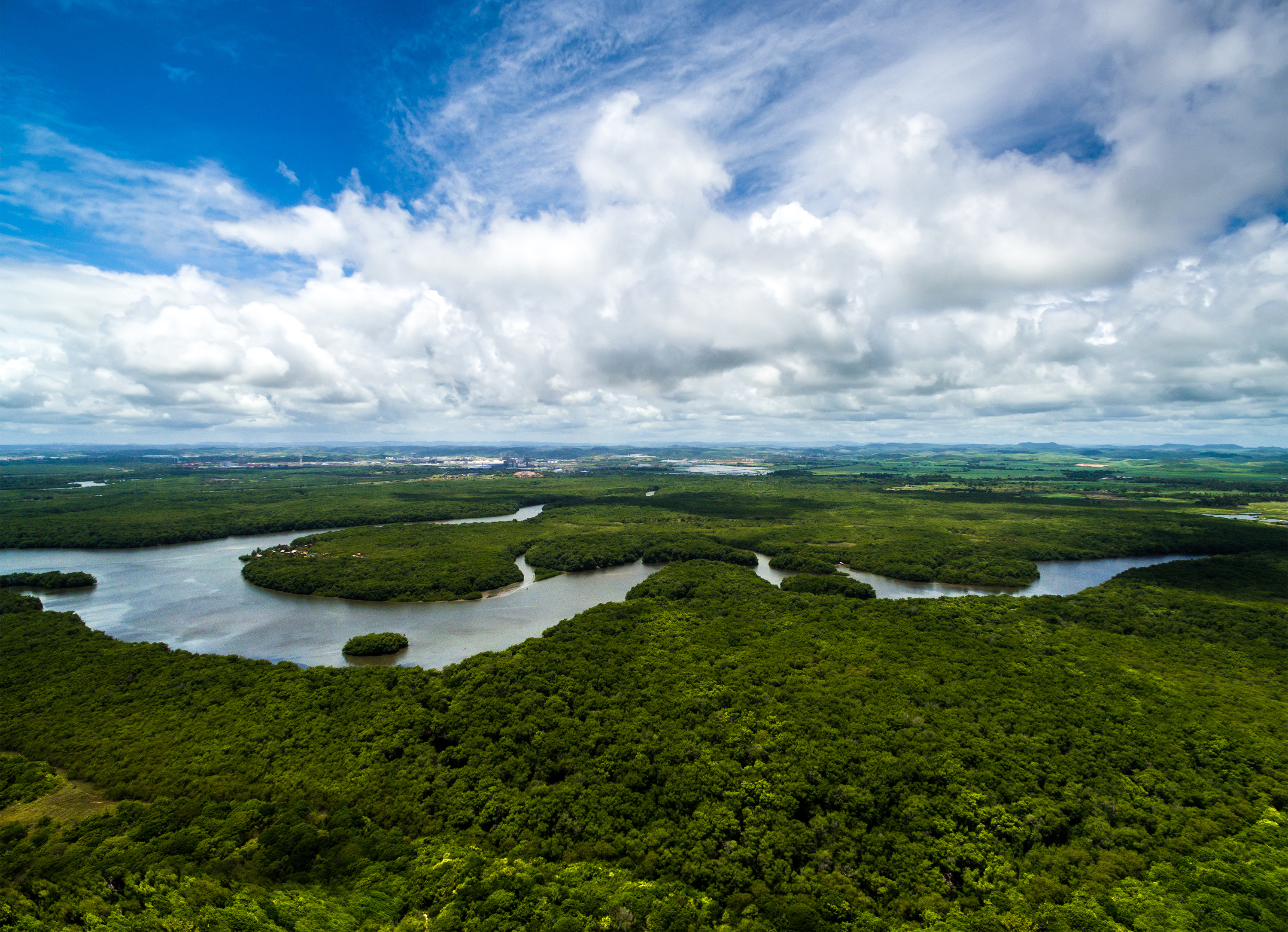 Launch of LIRA in Brazil