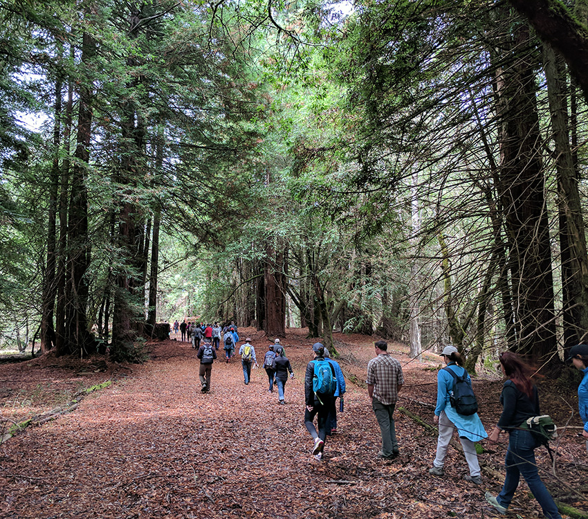 Providing public access to the Jenner Headlands