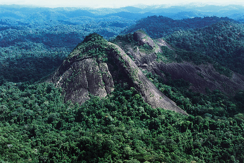 Watershed year for ARPA