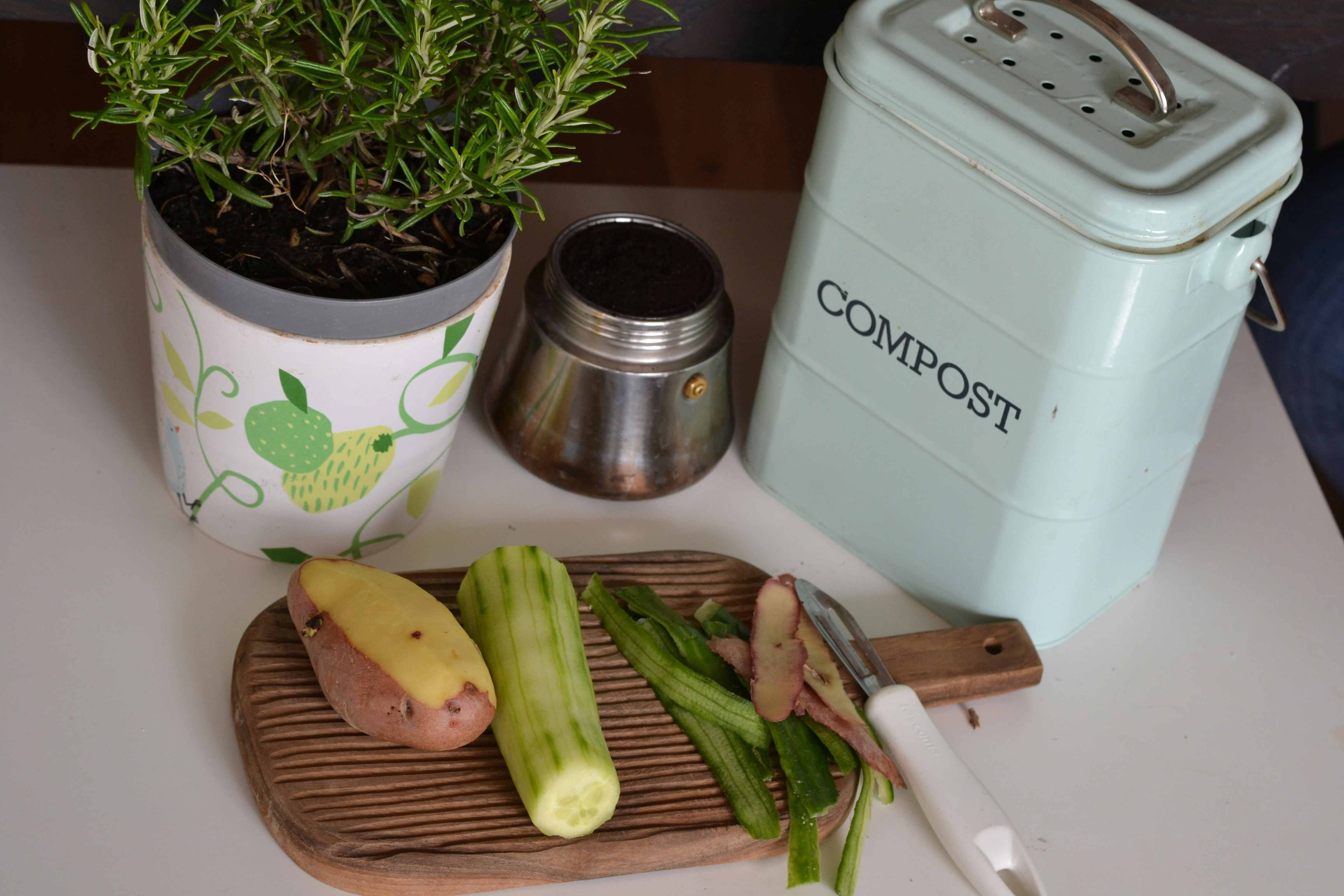 Green Living in High Rises: A Guide to Apartment Composting | Waste ...