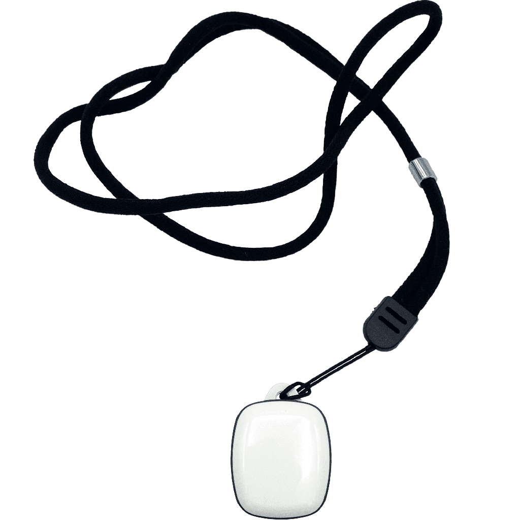 Wearable tag - collar