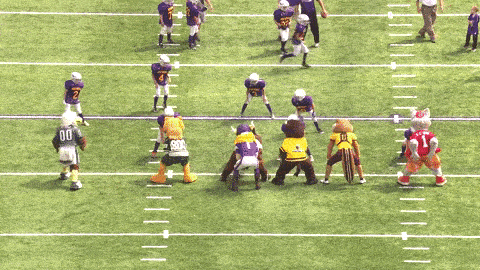 Passing Minnesota Vikings GIF by Viktor the Viking
