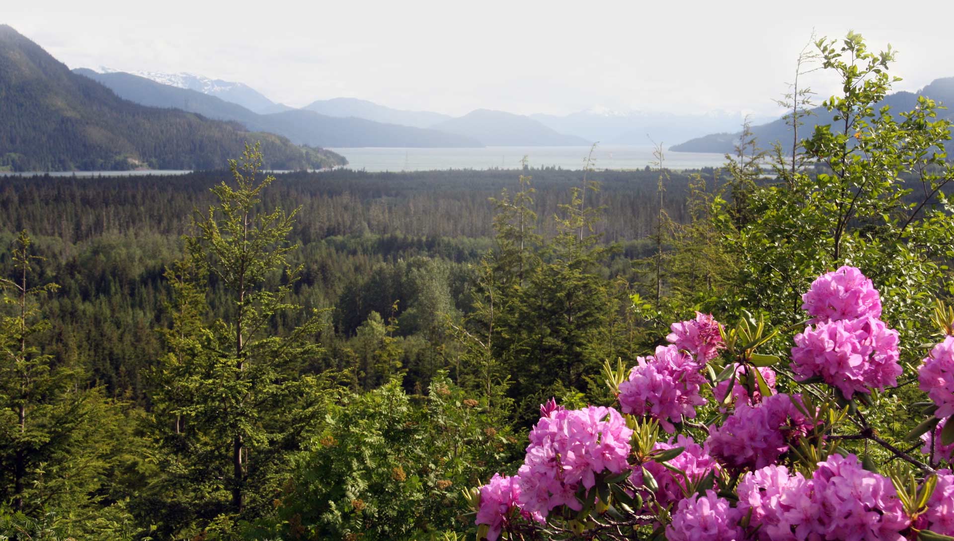 Hillcrest Place Apartments in Kitimat, B.C.