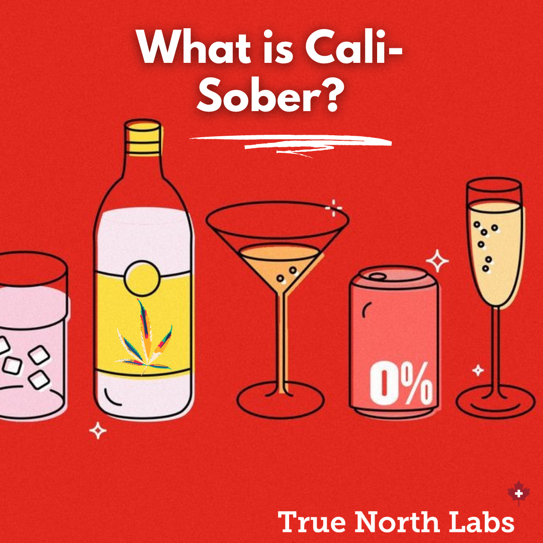 news-true-north-labs