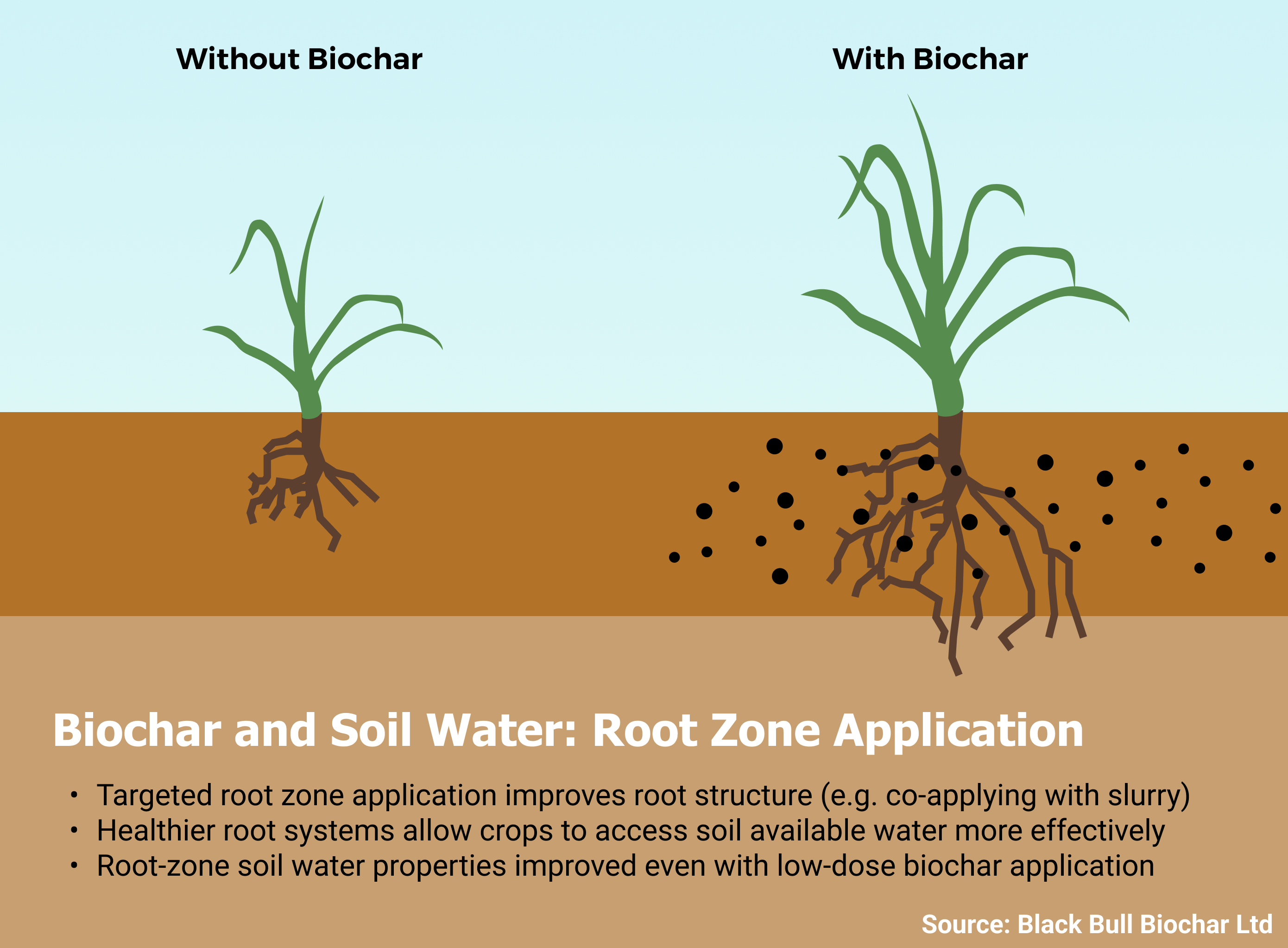 Biochar and soil water