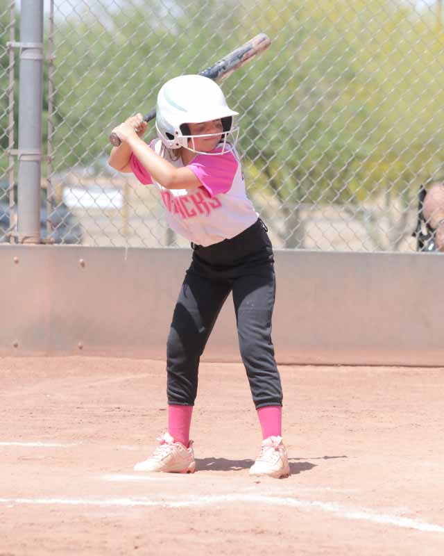 Little League Minors Softball Maricopa, AZ