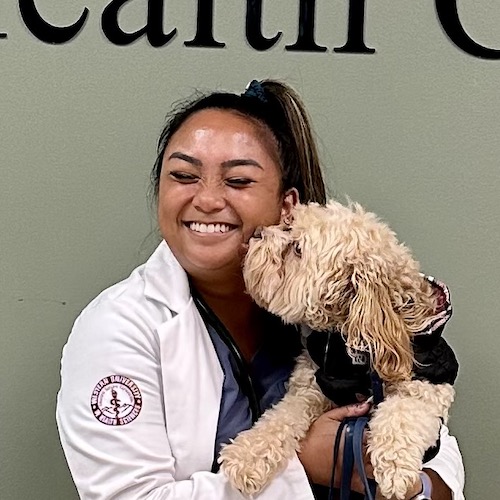 The Ultimate Guide to U.S. Veterinary Schools