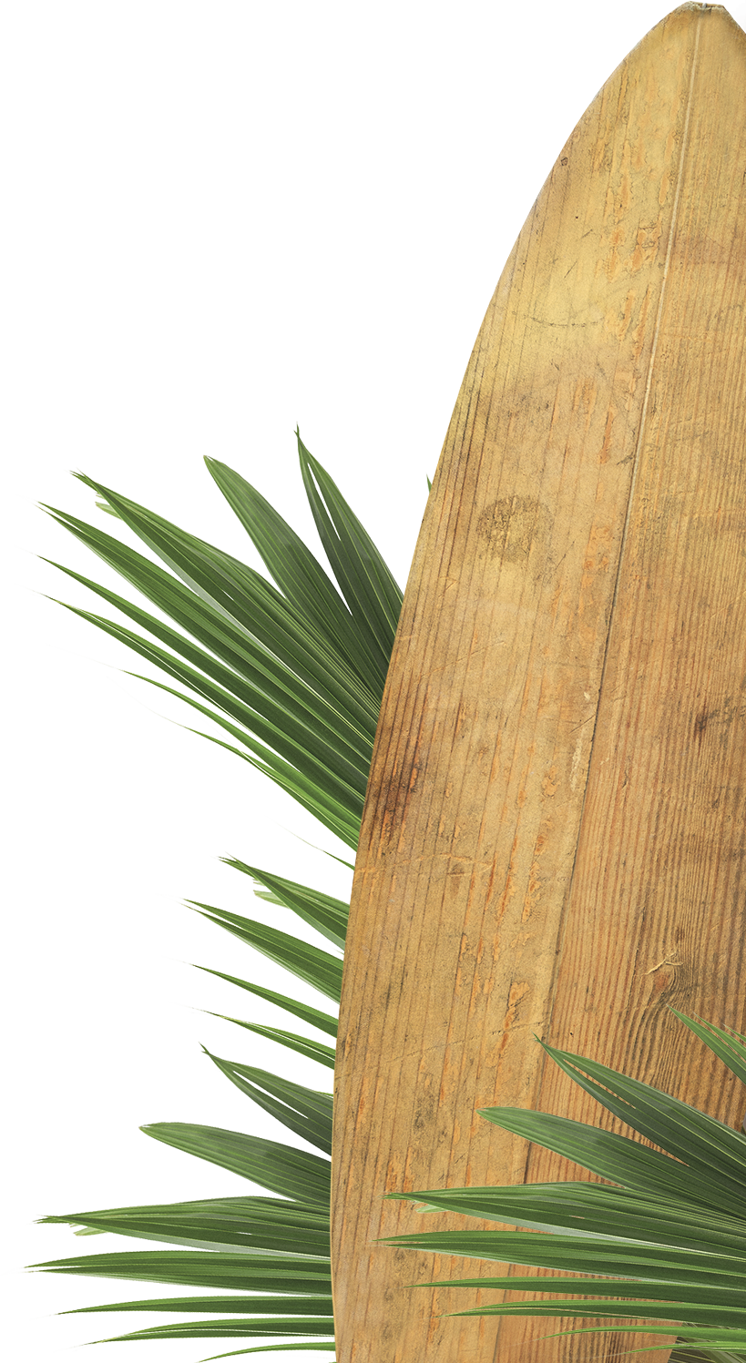 Palme und Surfboard