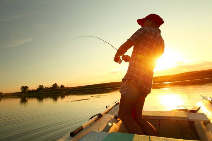 Where do baby cats learn to swim? | Click here to find out!