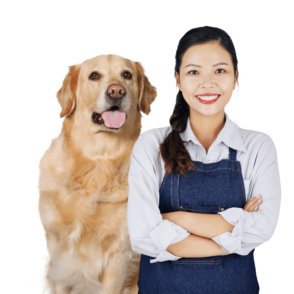 Discover Dog Boarding Near You Petotum