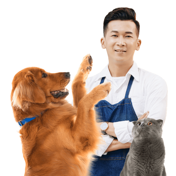 Discover Pet hotel Near You Petotum