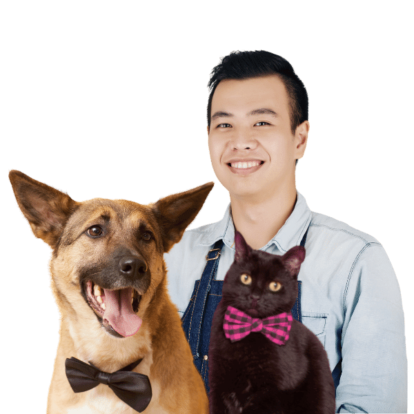 Discover Pet Shop Near You Petotum