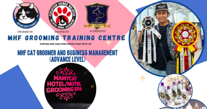 Online Pet Grooming Certification Course For Cat Owners