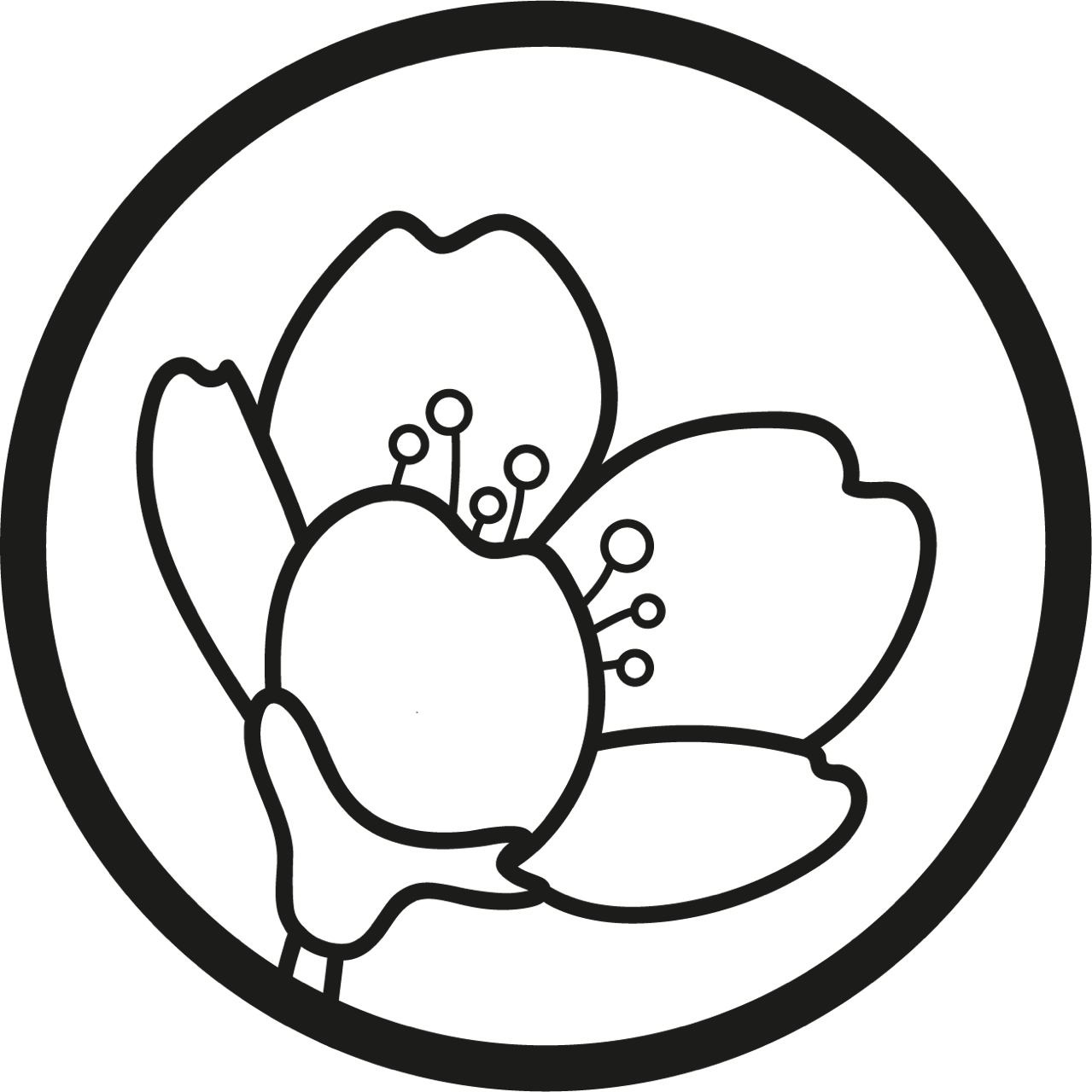 Accommodation Yamane accommodation-yamane