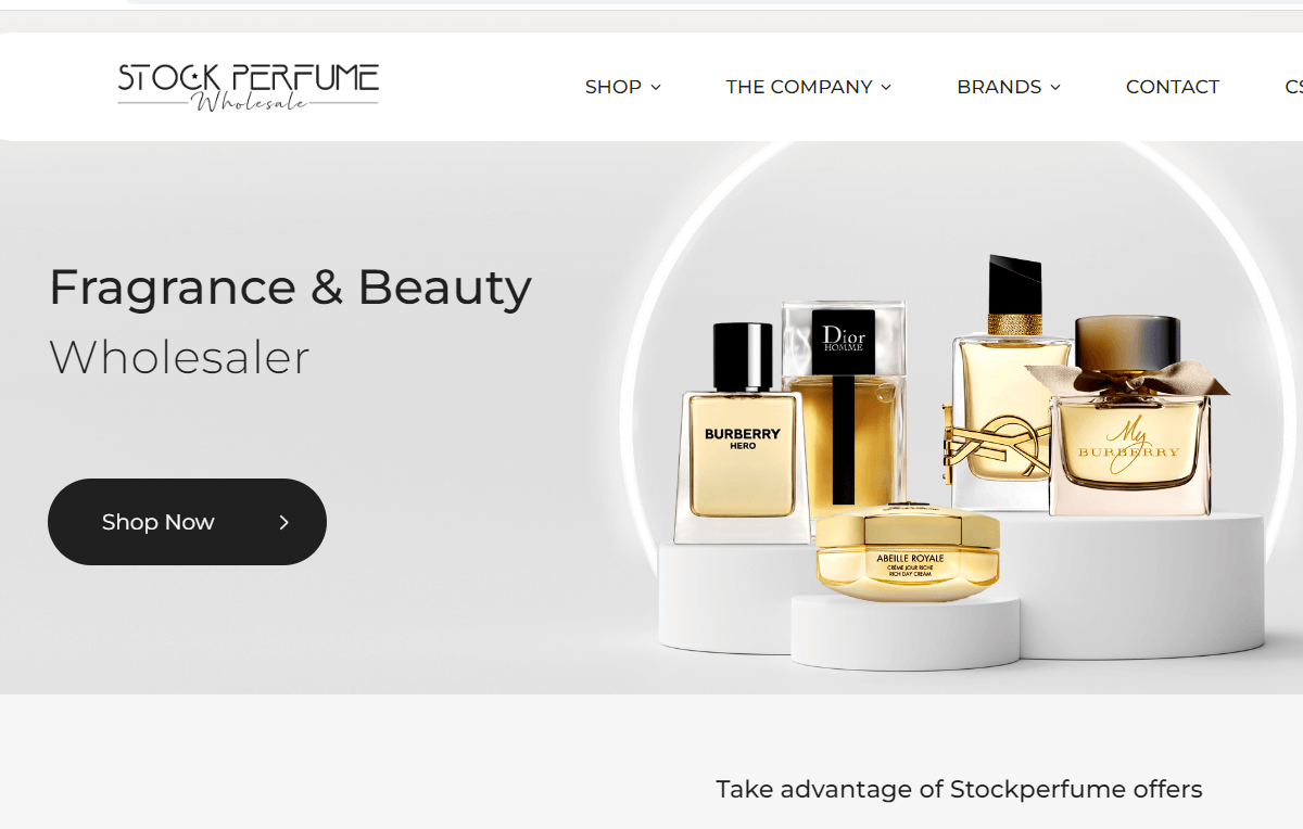 9 Best Dropshipping Suppliers in Singapore in 2024 Dropship