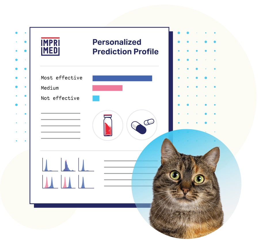 Personalized Prediction Profile for Feline Lymphoma & Leukemia