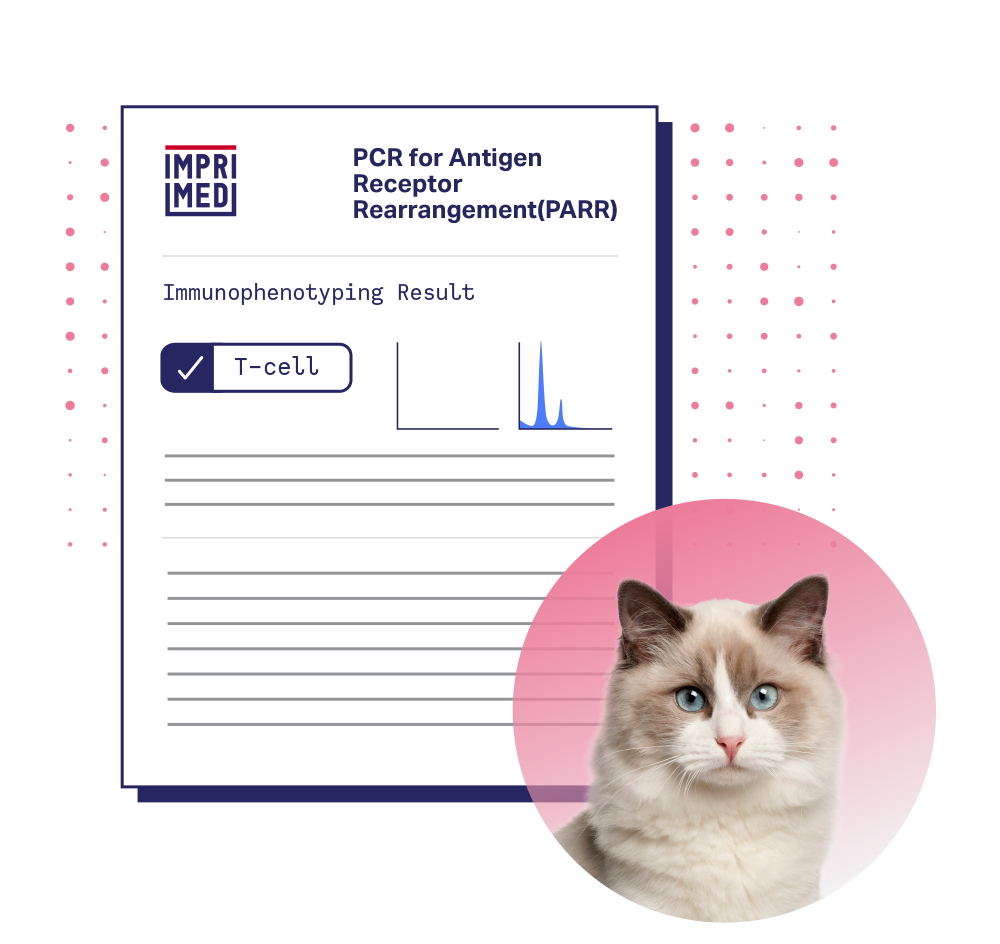 PARR for Feline Lymphoma & Leukemia