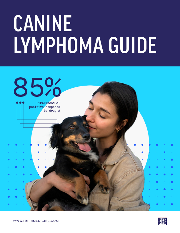 Canine Lymphoma Guide