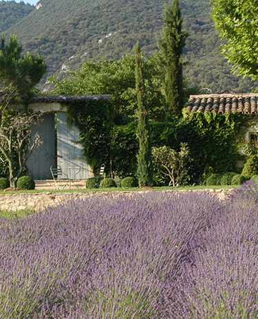 Provence La Bastide de Marie