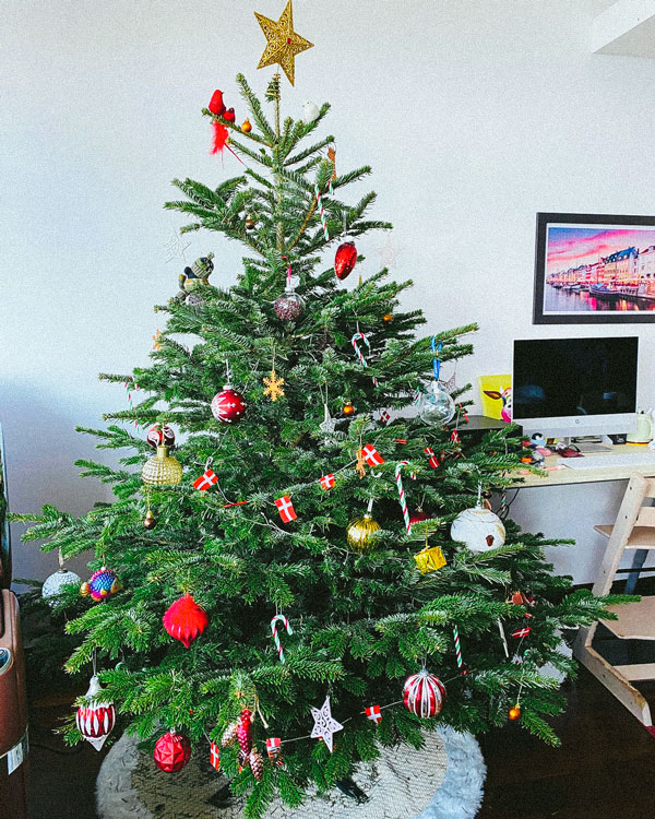 Royal Fir Scandinavian Christmas Trees / Hong Kong