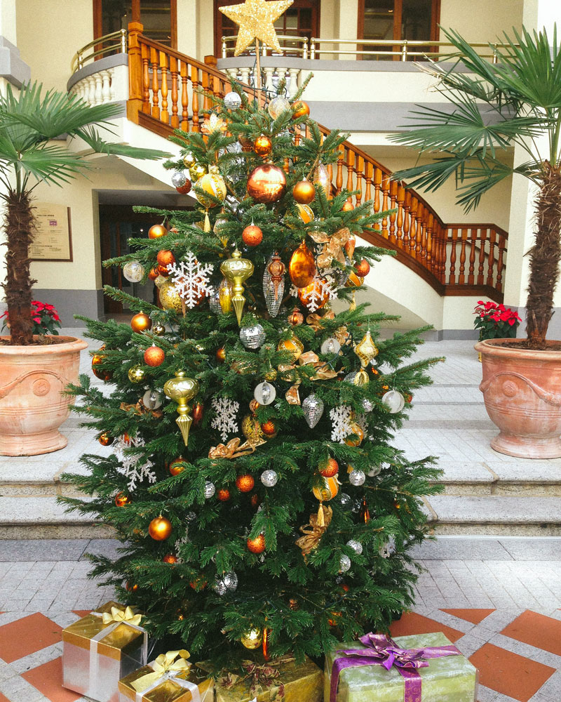 Royal Fir Scandinavian Christmas Trees / Hong Kong