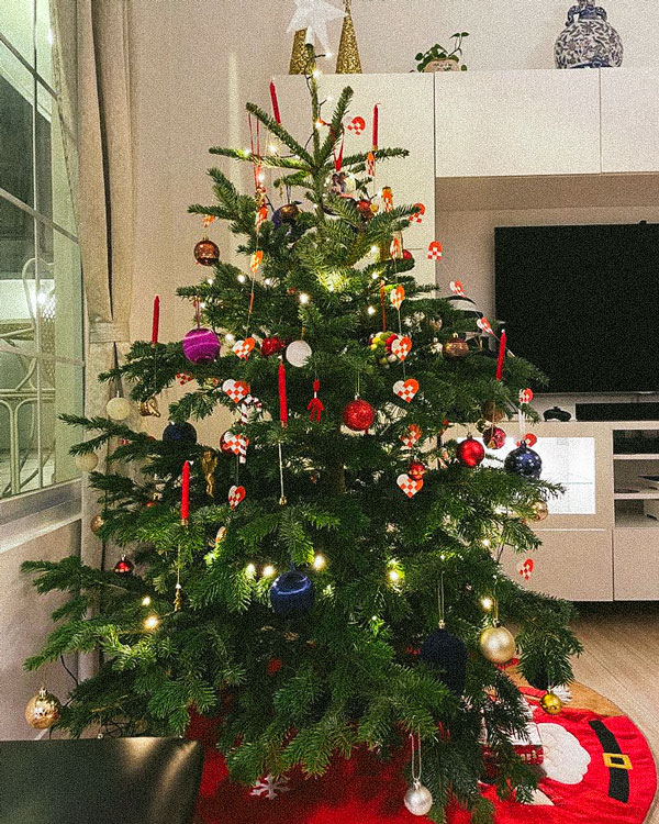 Royal Fir Scandinavian Christmas Trees / Hong Kong