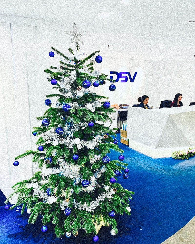 Royal Fir Scandinavian Christmas Trees / Hong Kong