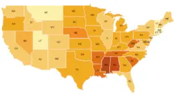 15 Data Visualization Techniques · Polymer