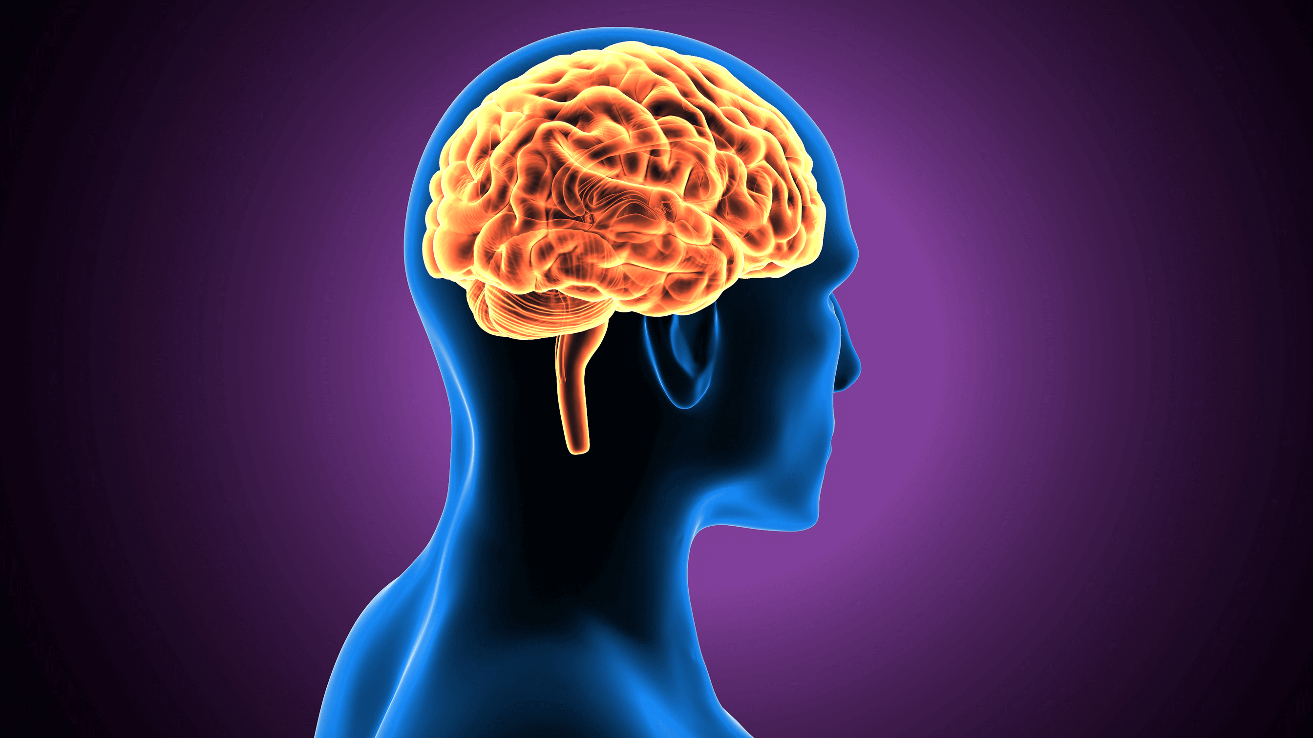 Does the Brain Feel Pain? | Lin Health