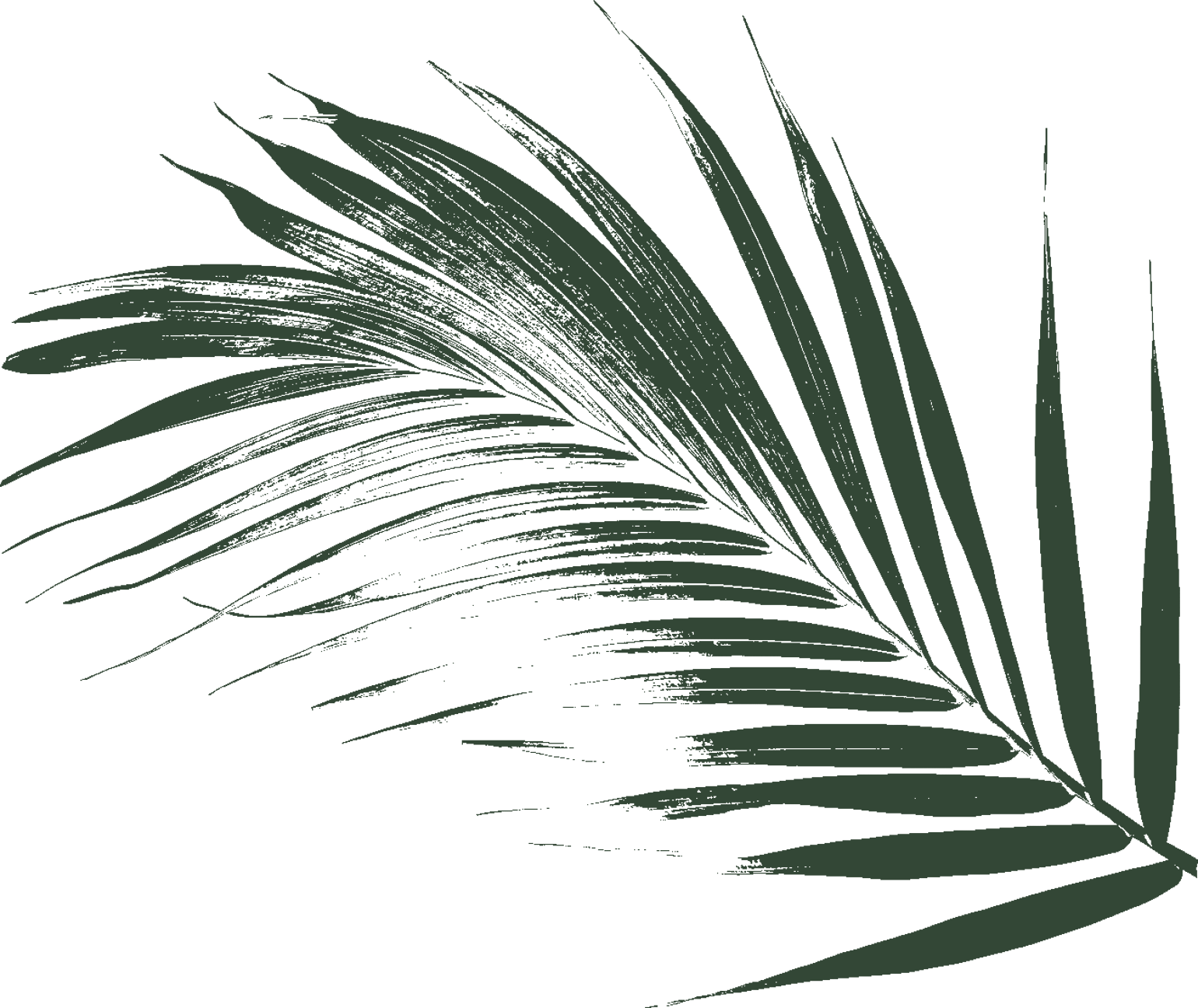 615355778398611116d555c4_ghf-palm-leaf-3-dark-green.png