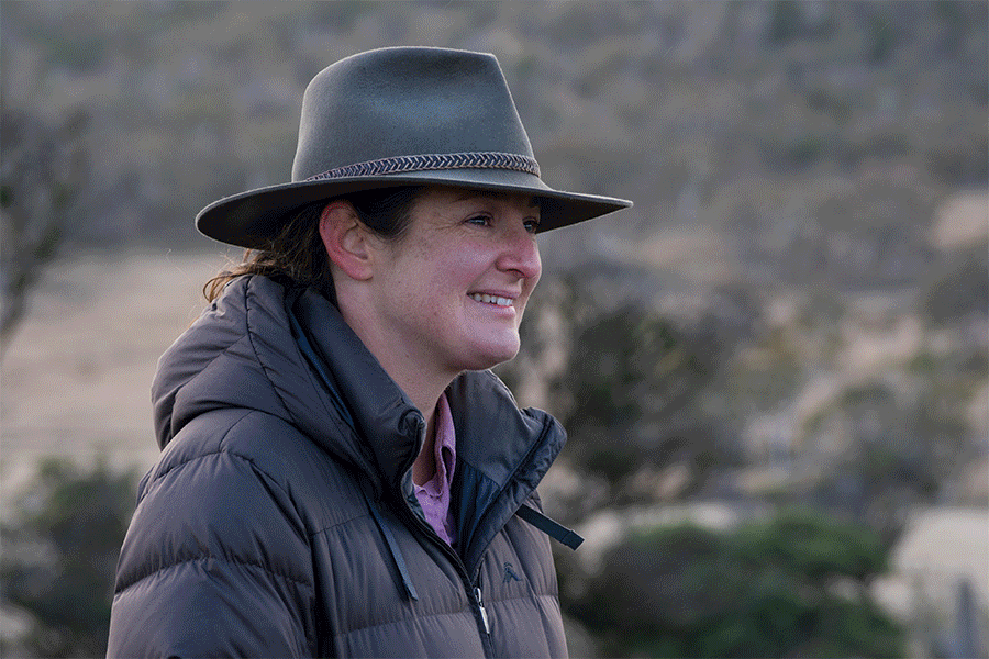 How Officeworks’ Tree Planting Is Restoring the Environment